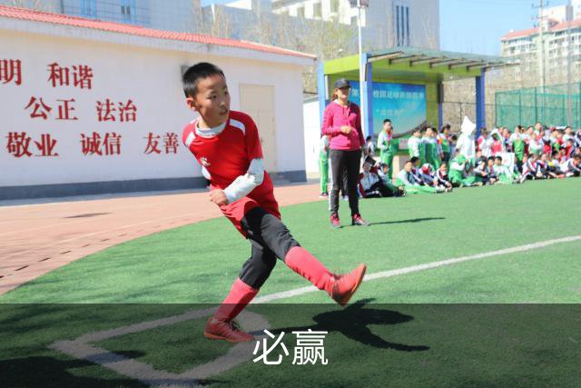 必赢公司介绍图